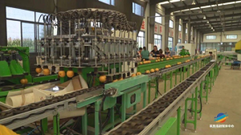 Ensimmäinen Fruit Standardization Origin Service Forum