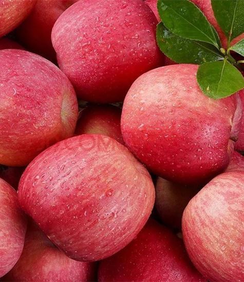 Kaikentyyppiset omenat